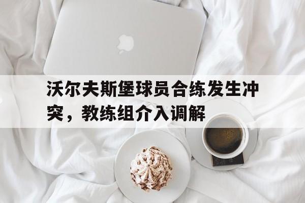 沃尔夫斯堡球员合练发生冲突，教练组介入调解